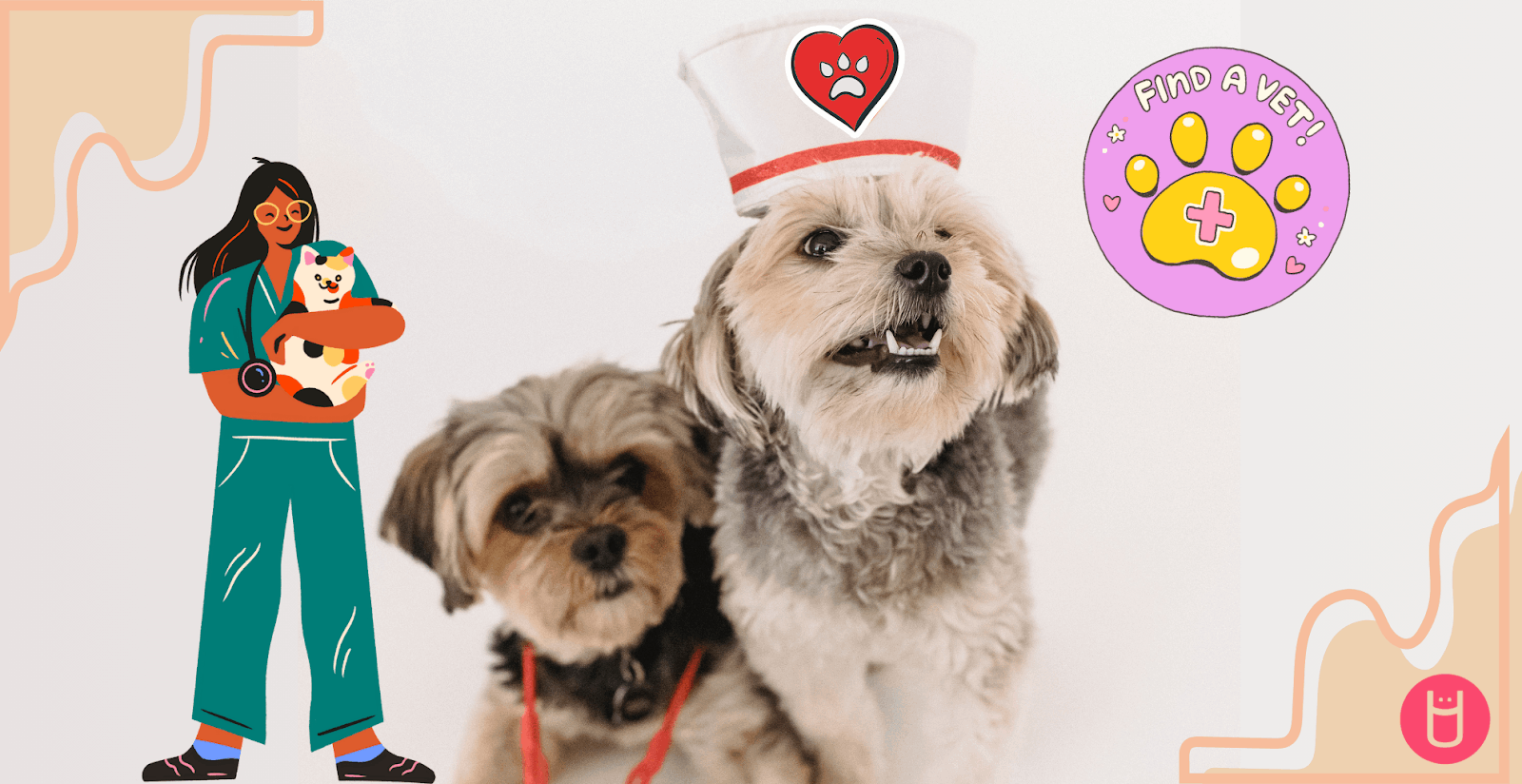 How veterinarians could use USB drives